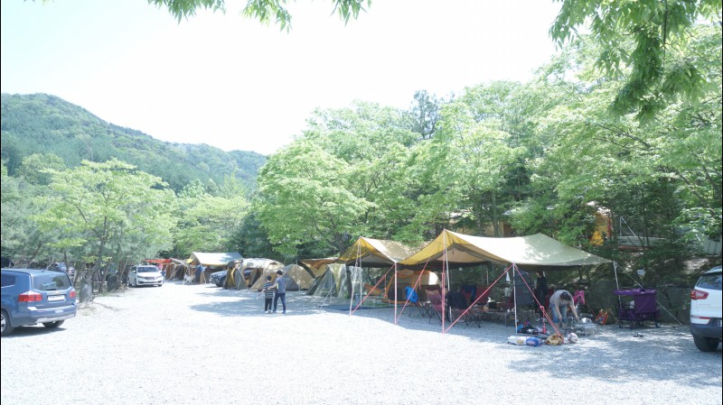 용인 리림 예약·가격·위치, 캠핏 결제 전 갈리는 이용 조건